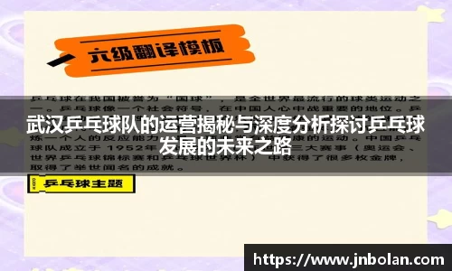 武汉乒乓球队的运营揭秘与深度分析探讨乒乓球发展的未来之路